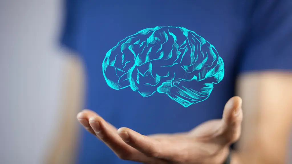 Secrets of Brain Derived Neurotrophic Factor (BDNF) by Nameen Infusion & Wellness